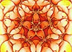 fleurs